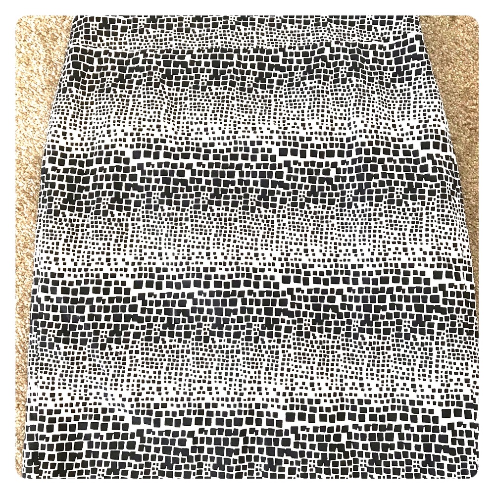Ann Taylor- Black and White skirt